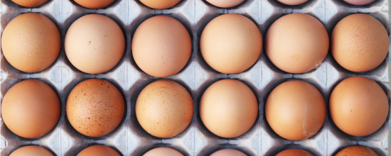 Habitat Paragraaf Toegangsprijs Zeven eieren per week: is dat gezond?